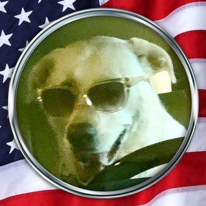 Meet your Posher, Anne